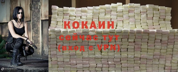 гидропоника Белокуриха