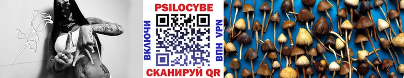 mega ТОР  цены наркотик  Верхняя Пышма  Галлюциногенные грибы прущие грибы 