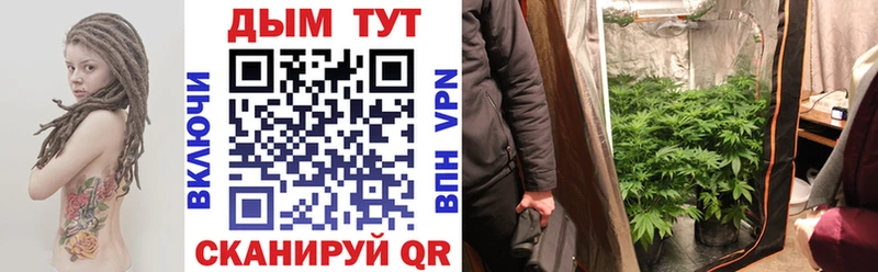 omg ТОР  Верхняя Пышма  дарк нет какой сайт  МАРИХУАНА гибрид 